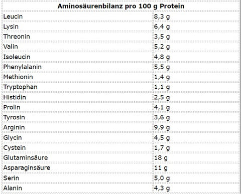 More Nutrition Total Vegan Protein 600g