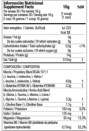 Zoomad Caretaker BCAA (480 gr)